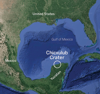 برخورد شهاب سنگ در سواحل میکزیک که باعث انقراض دایناسور ها شد!